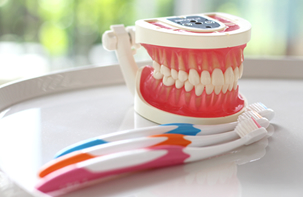 歯周病・予防歯科